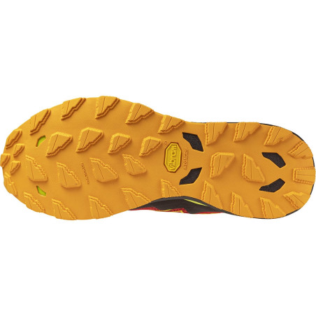 Mizuno Wave Daichi 9 Homme HR Red/Evening Primrose.B.Marigold