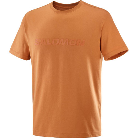 Salomon Big Logo Tee Homme Sierra
