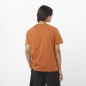 Salomon Big Logo Tee Homme Sierra