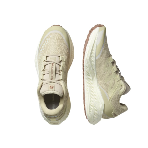 Salomon Aero Glide 3 GRVL Green Haze/Vanilla Ice/Russet Homme