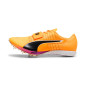 Puma Evospeed Tokyo Nitro LJ Sun Stream/Puremagenta/Black
