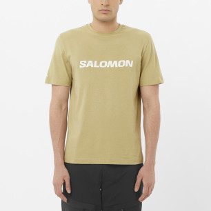 Salomon Logo SS Tee Homme Gray Green