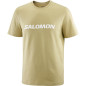 Salomon Logo SS Tee Homme Gray Green