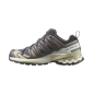 Salomon XA Pro 3D V9 GTX Femme Nine Iron/Oxford Tan/Alfalfa