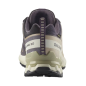 Salomon XA Pro 3D V9 GTX Femme Nine Iron/Oxford Tan/Alfalfa
