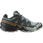 Salomon Speedcross 6 GTX Homme Trooper/Black/Wood Thrush