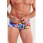 Zerod Maillot de Bain Trunks Brushwave