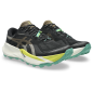 Asics Trabuco 14 Homme Black/Clay Canyon