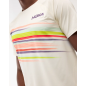 Hoka Race Day Short Sleeve Homme Alabaster Flare