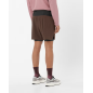 Salomon Sense Aero 2In1 Shorts 5" M Coffee Bean