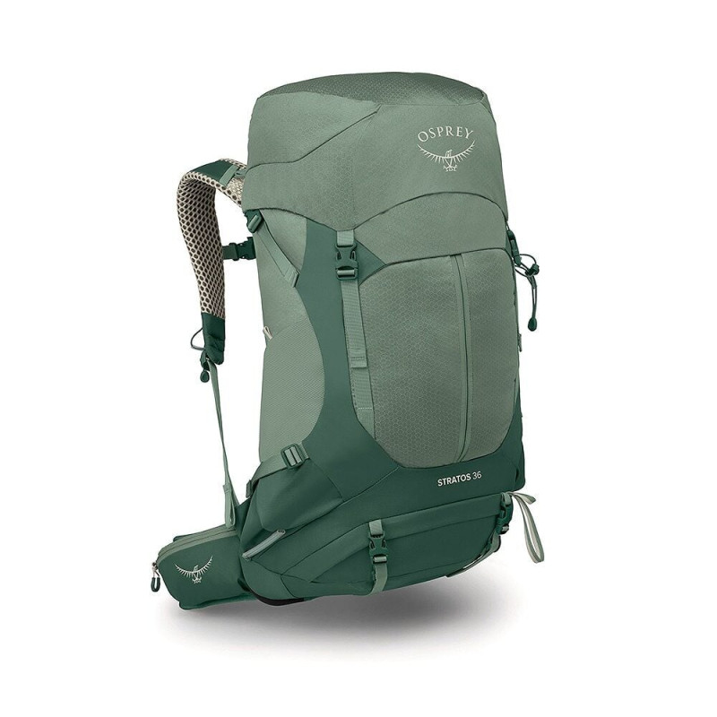 Osprey Stratos 36 Pine Leaf