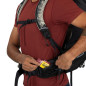 Osprey Stratos 36 Pine Leaf