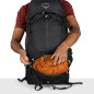 Osprey Stratos 36 Pine Leaf