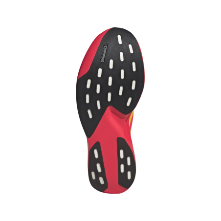 Adidas Adizero EVO SL Woven Homme Lucid Red/Bold Gold/Semi Lucid Blue