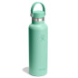 Hydro Flask Standard Flex Cap Mermaid Green 621ml
