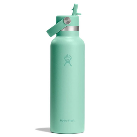 Hydro Flask Standard Flex Straw Cap Mermaid Green