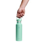 Hydro Flask Standard Flex Straw Cap Mermaid Green