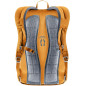 Deuter Gogo Amber/Maple