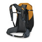 Osprey Hikelite 32 Tungsten/Yellow