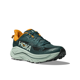 Challenger 8 Homme Bay Leaf / Sage