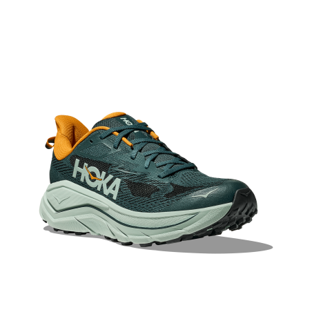 Challenger 8 Homme Bay Leaf / Sage