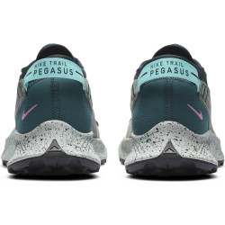 Nike Pegasus Trail 2 W