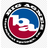 BIG AGNES